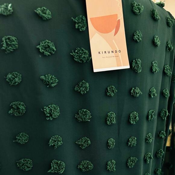 Kirundo NWT Womens Dress Size M Empire Waist 70s Retro Whimscagoth  Retro Sheer - Picture 7 of 15